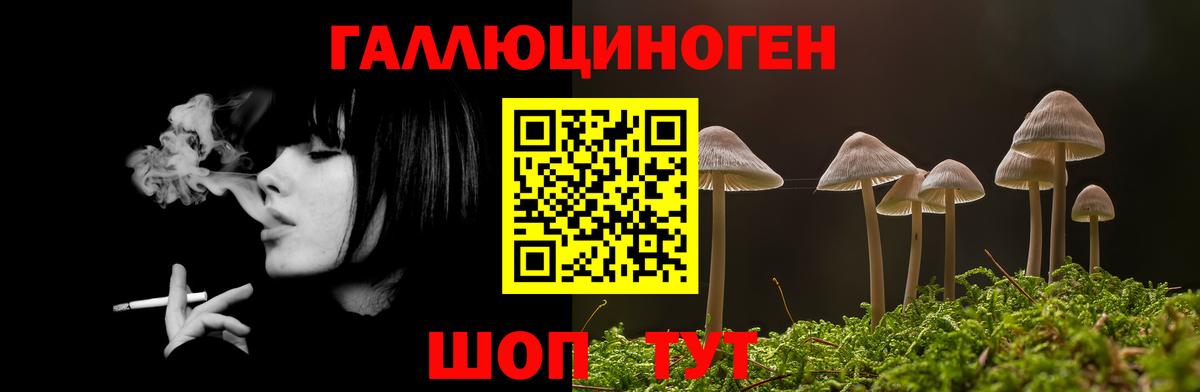 Псилоцибиновые грибы ЛСД Белореченск